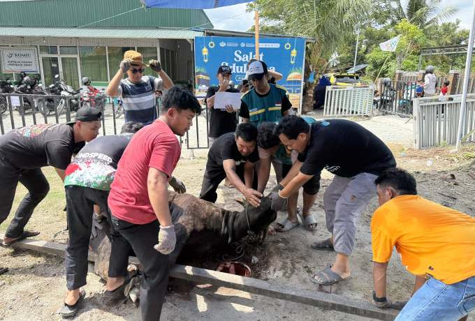 Wahdah Islamiyah Sulteng Sembelih 9 Sapi dan 2 Kambing, Daging Kurban Disalurkan ke Ratusan Warga